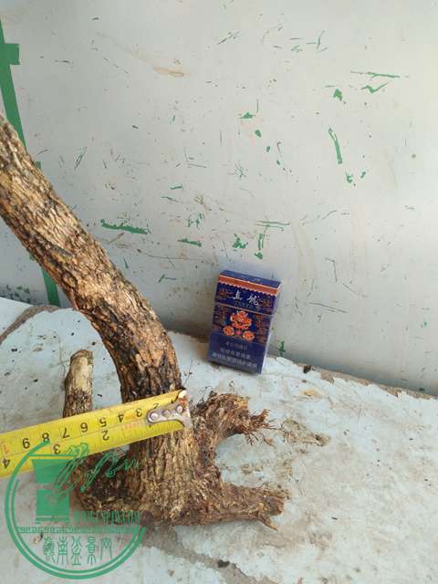 IMG20170529134007.jpg