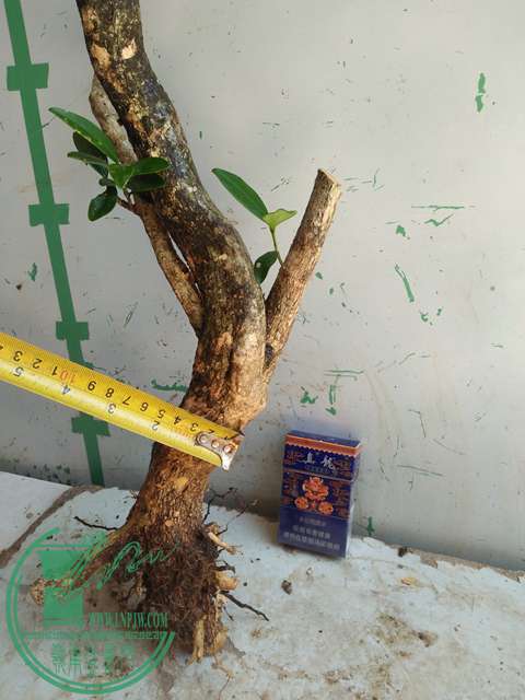 IMG20170529134050.jpg