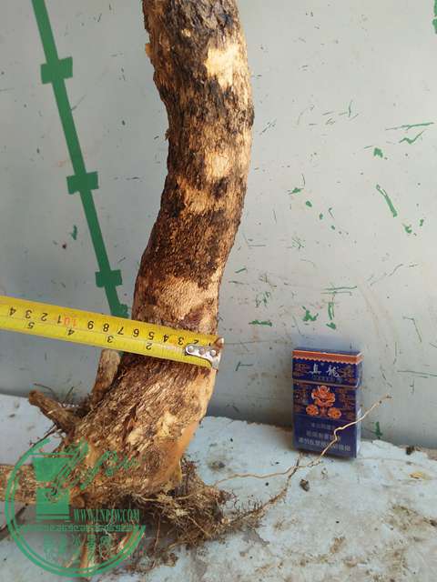 IMG20170529134236.jpg
