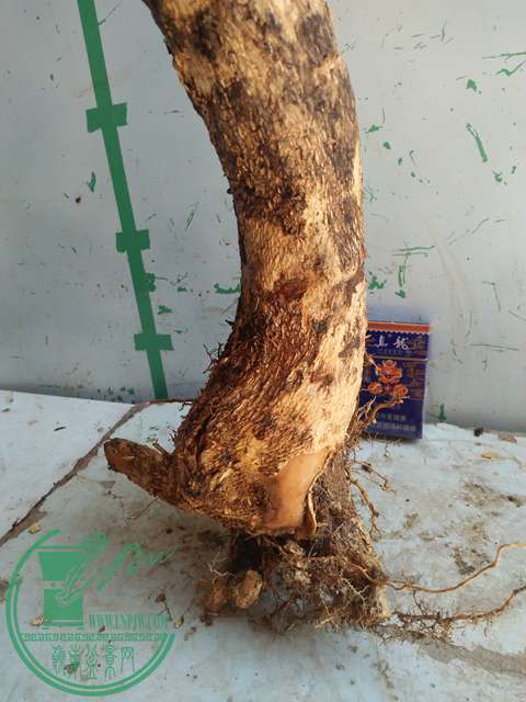 IMG20170529134240.jpg