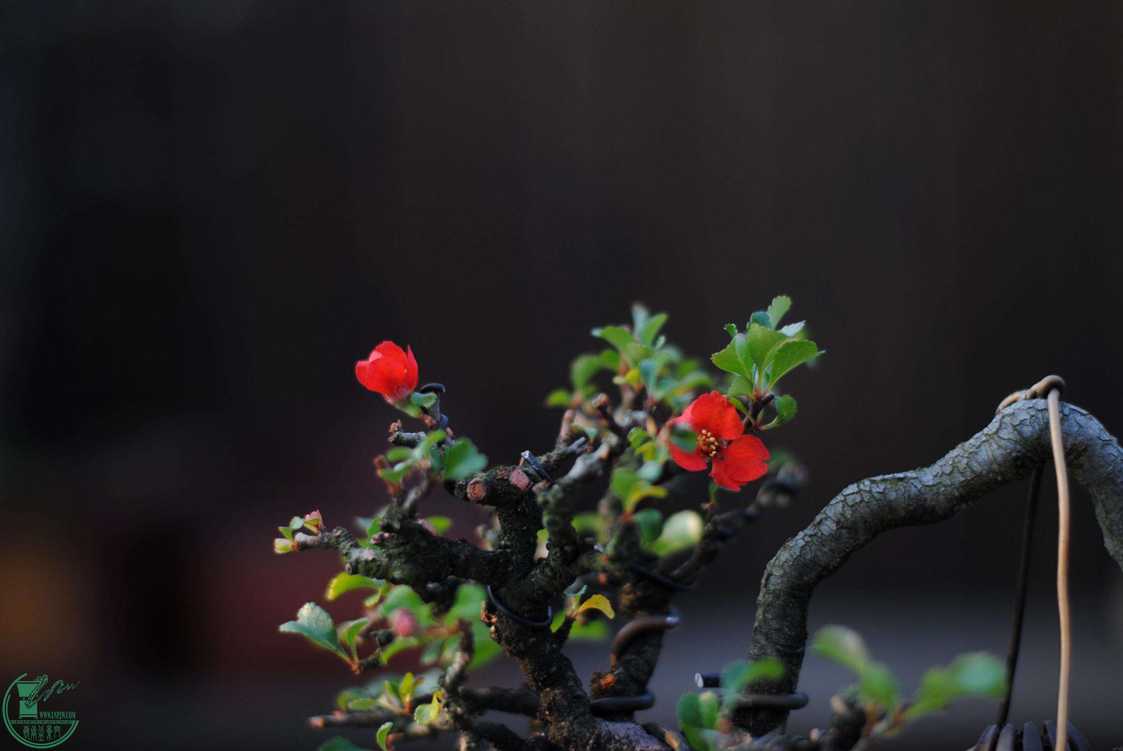 DSC_2189.JPG