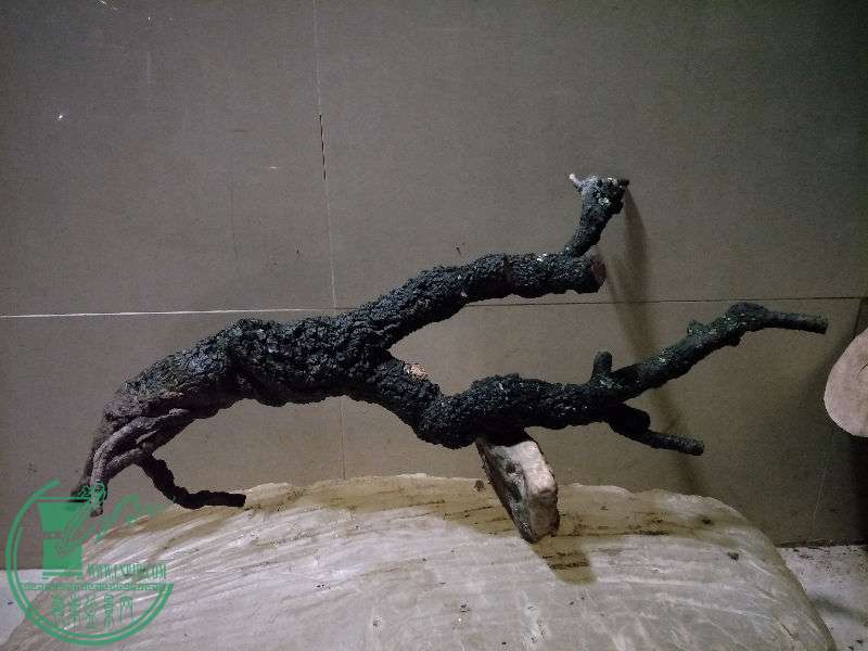 893760