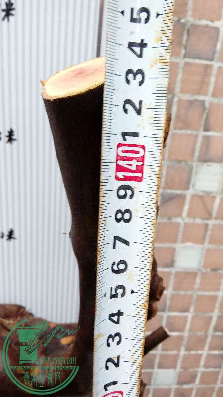 894018