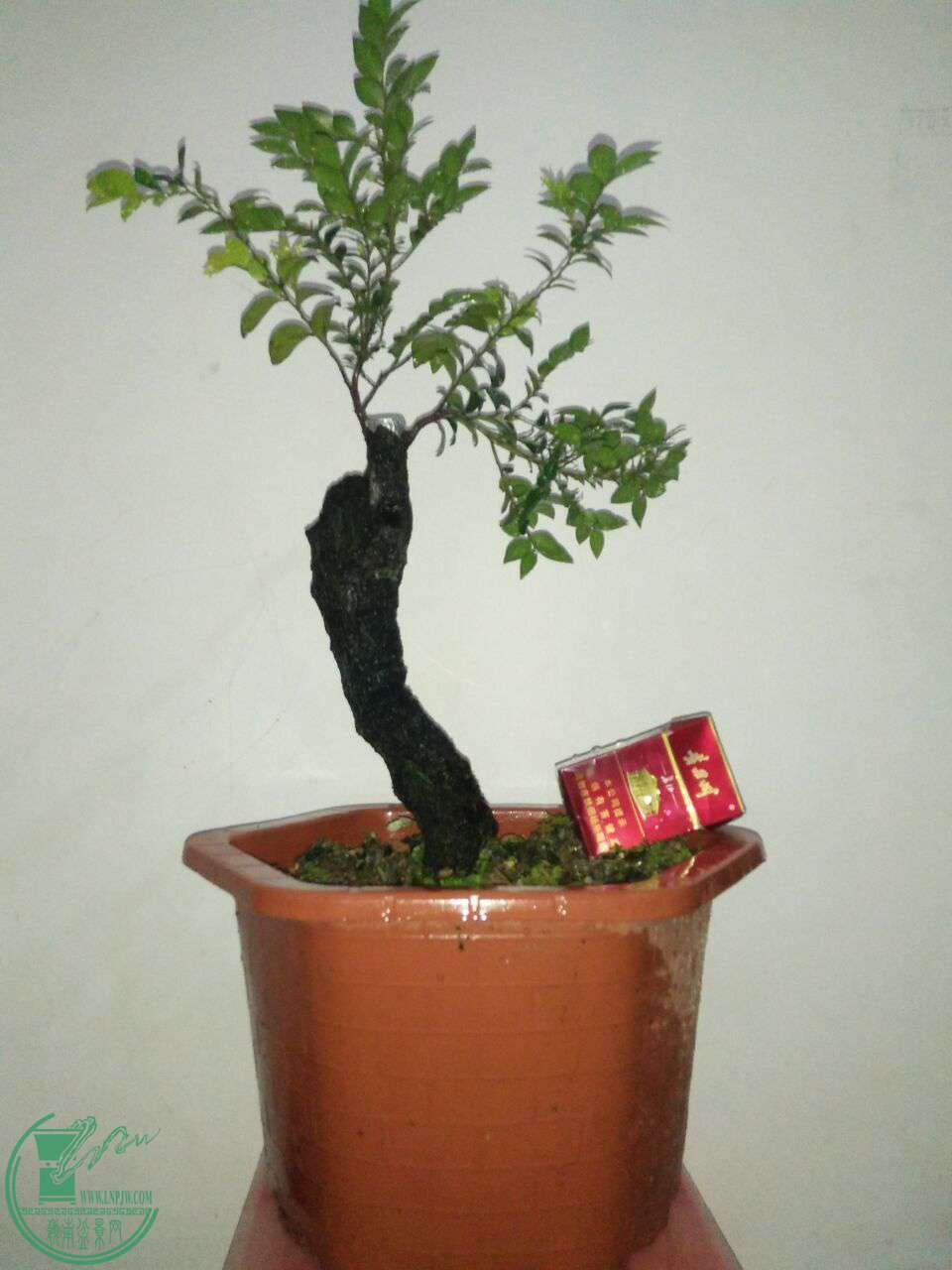 QQͼƬ20170609210237.jpg