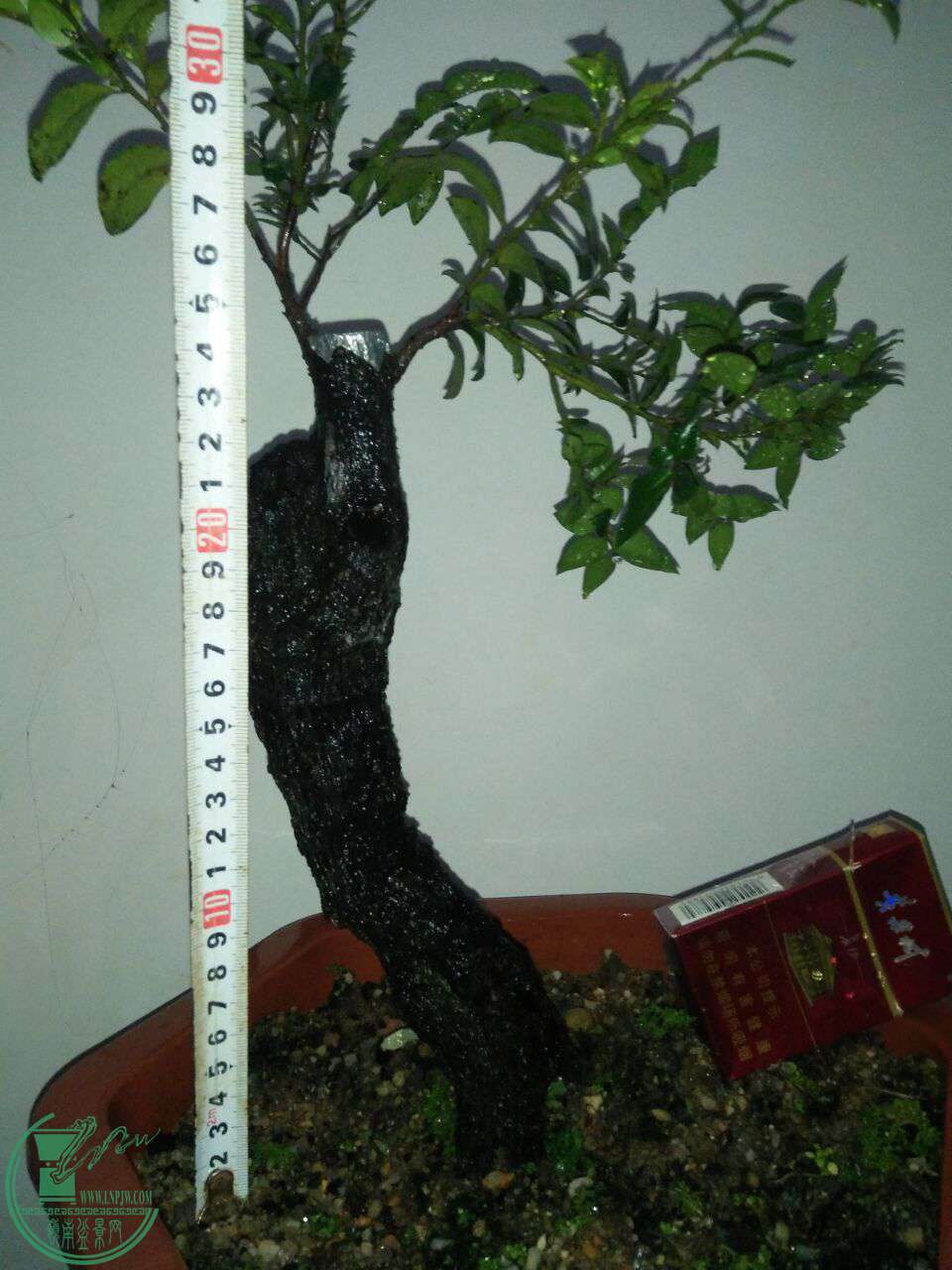 QQͼƬ20170609210302.jpg