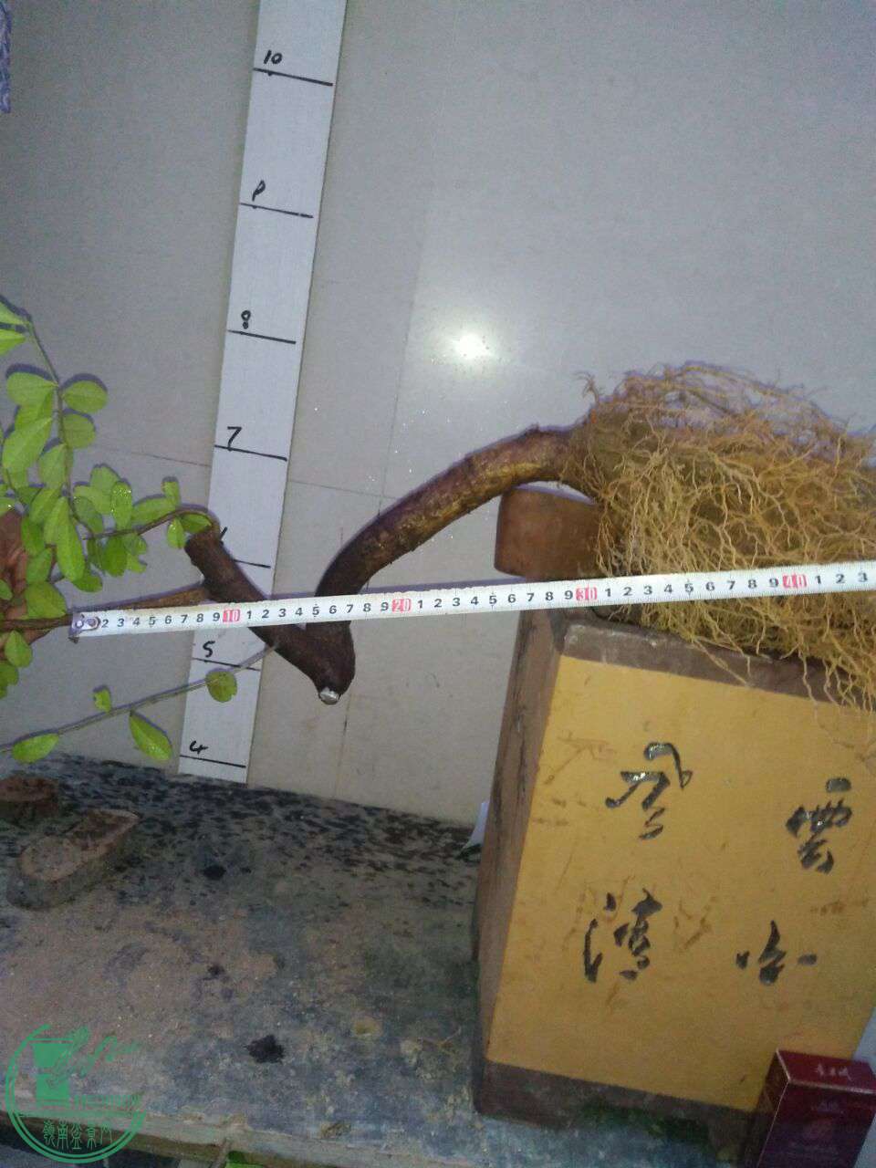 QQͼƬ20170610205717.jpg