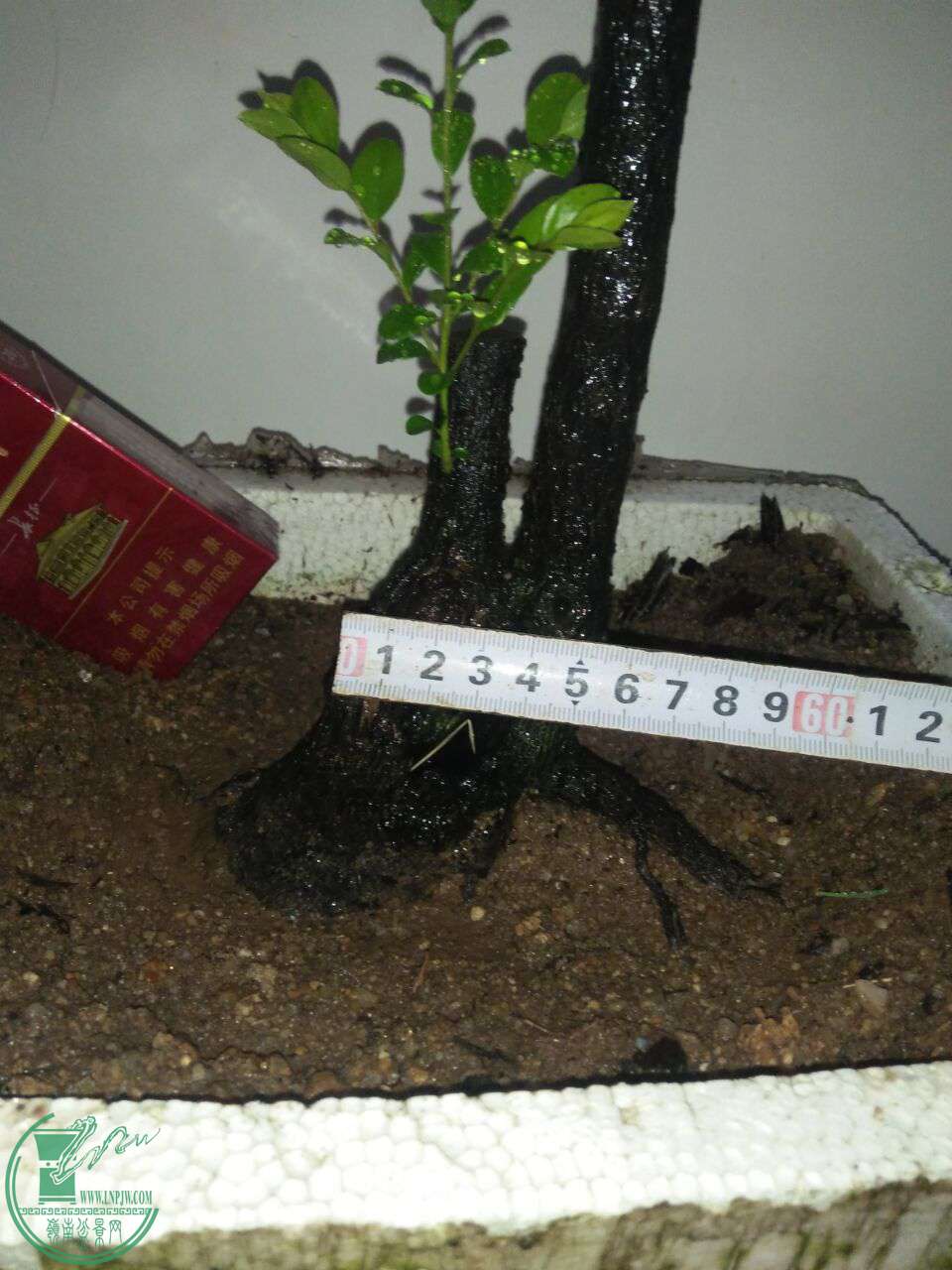 QQͼƬ20170610205537.jpg