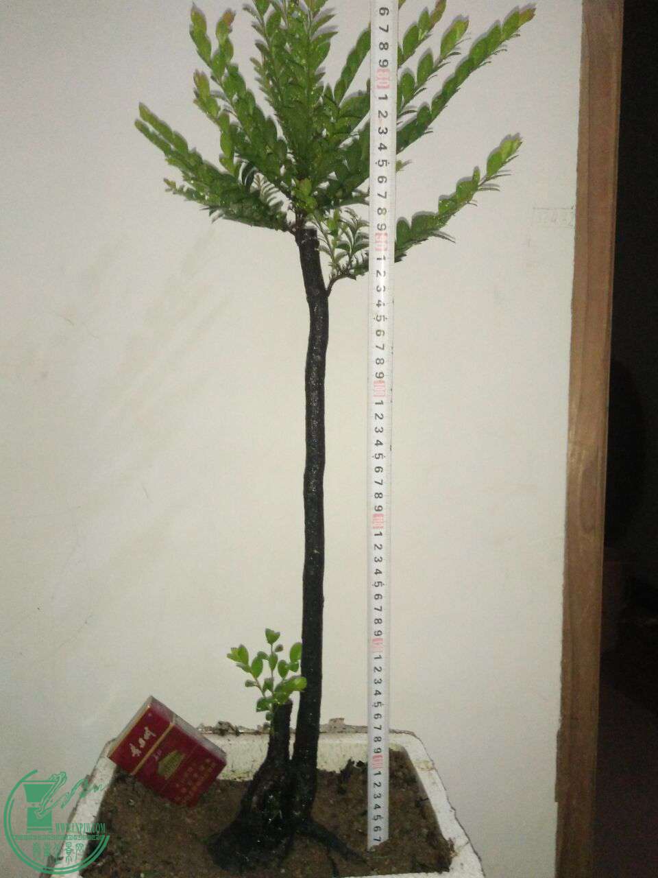 QQͼƬ20170610205546.jpg