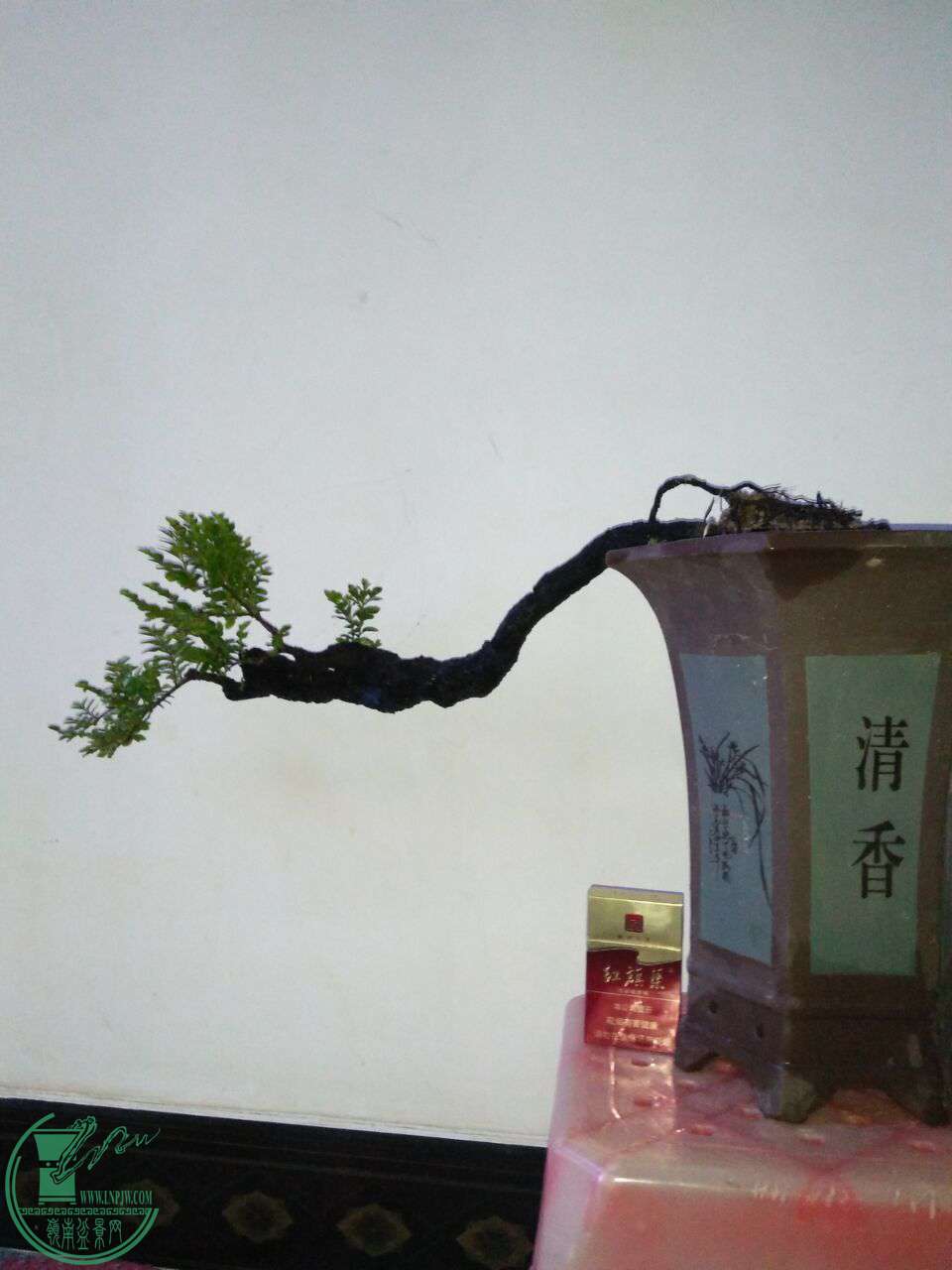 QQͼƬ20170611202956.jpg