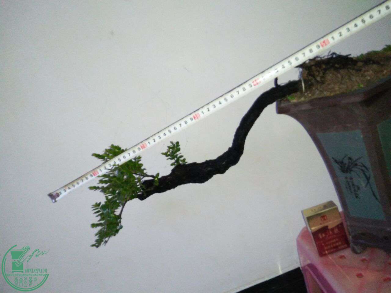QQͼƬ20170611202950.jpg