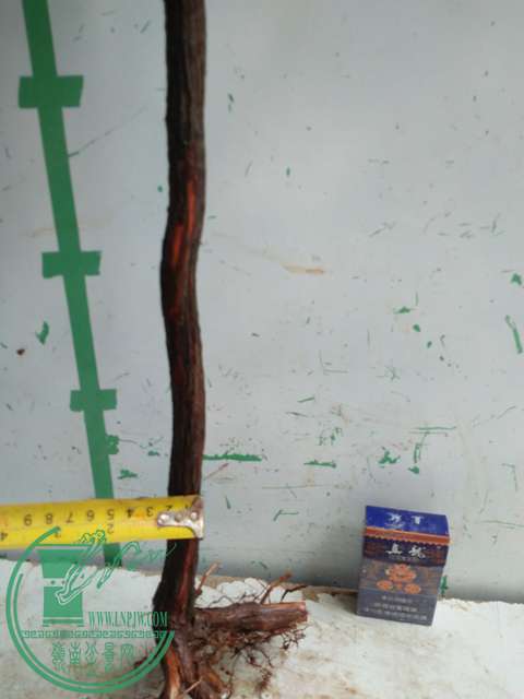 IMG20170611103436.jpg
