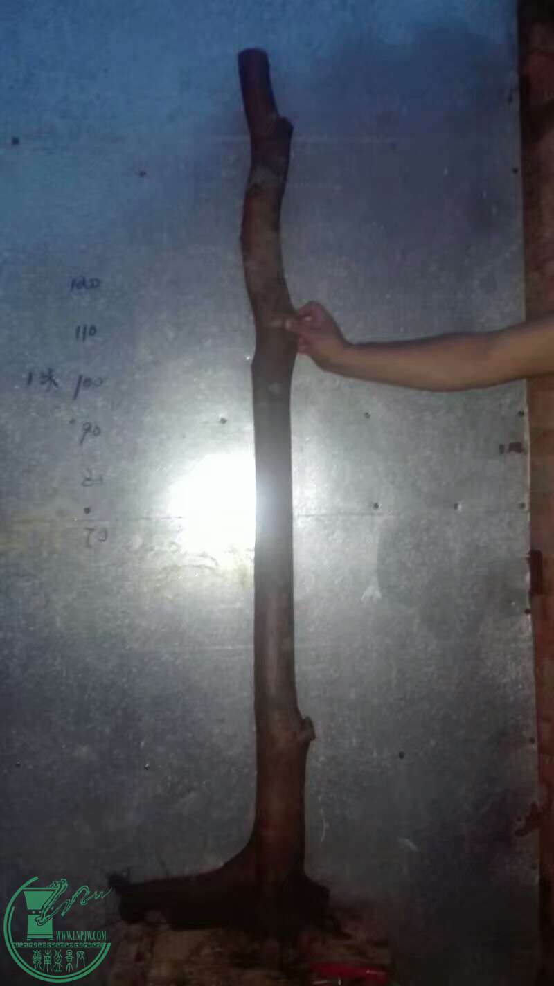 1497286327969.jpeg