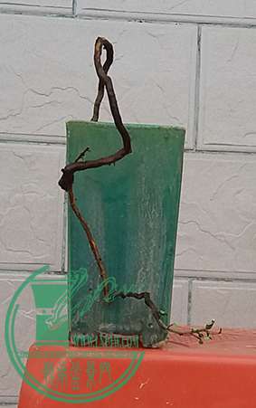 20170615_183116_mh1497526417142.jpg