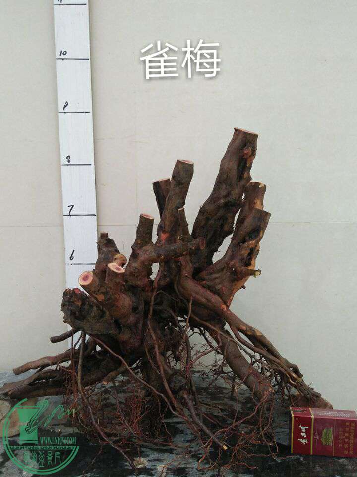QQͼƬ20170615211723.jpg