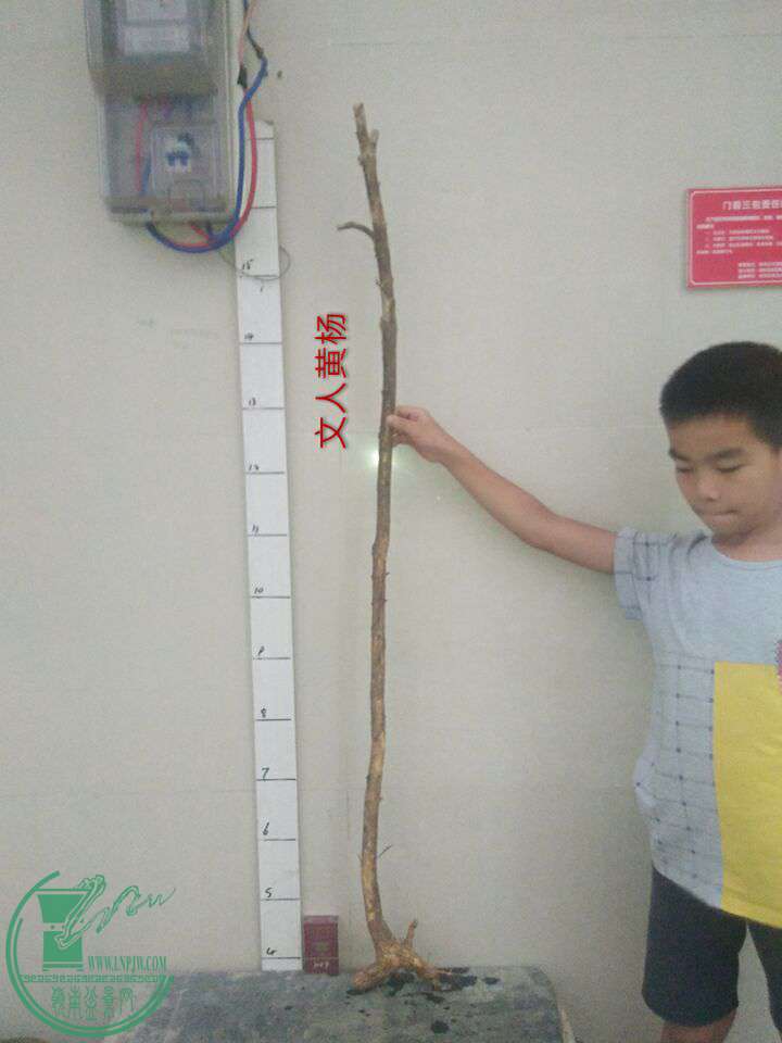 QQͼƬ20170617204001.jpg