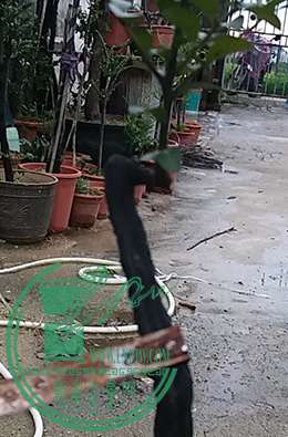 20170619_181355_mh1497872825509.jpg