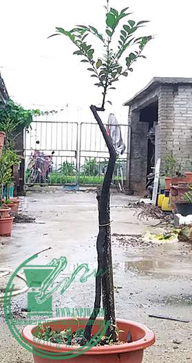 20170619_181338_mh1497872807951.jpg