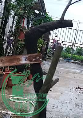 20170619_181241_mh1497872761696.jpg