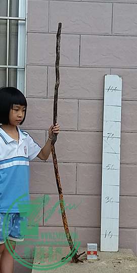 20170620_181105_mh1497958530009.jpg