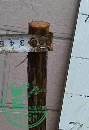 20170620_181510_mh1497958814891.jpg