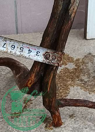 20170620_181505_mh1497958801136.jpg