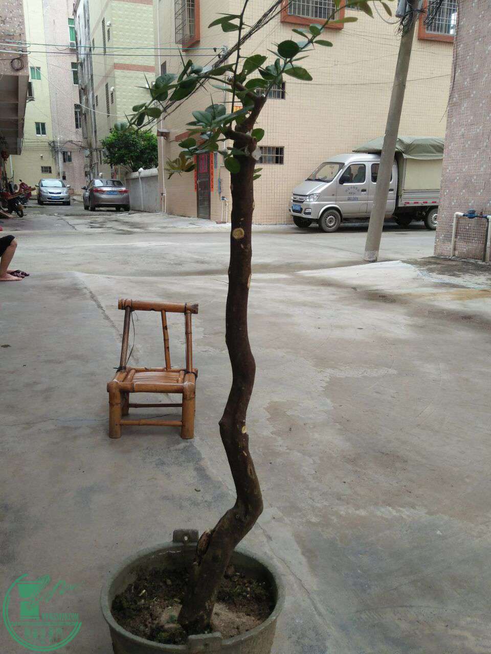 QQͼƬ20170622215650.jpg
