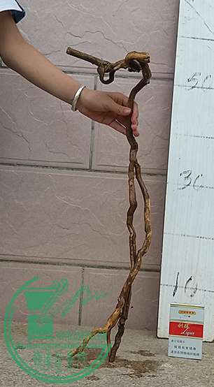 20170622_181456_mh1498132460897.jpg