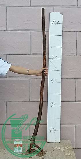 20170622_183123_mh1498133290689.jpg