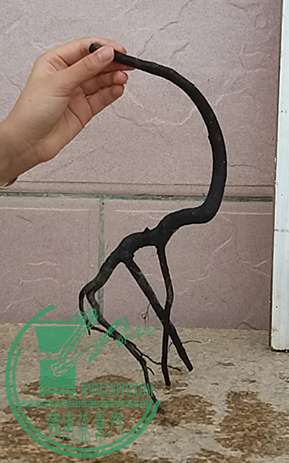 20170623_181640_mh1498218513446.jpg