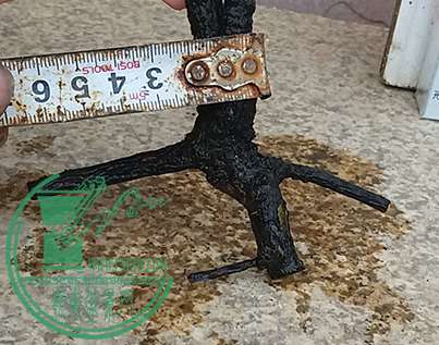 20170624_180034_mh1498305671559.jpg