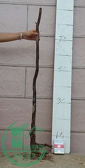 20170625_183450_mh1498391617696.jpg