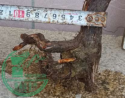 20170625_183426_mh1498391598531.jpg