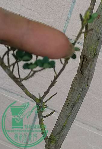 20170625_173828_mh1498391641192.jpg