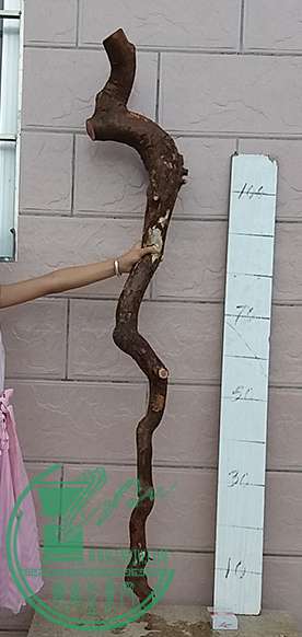 20170625_183316_mh1498391559670.jpg