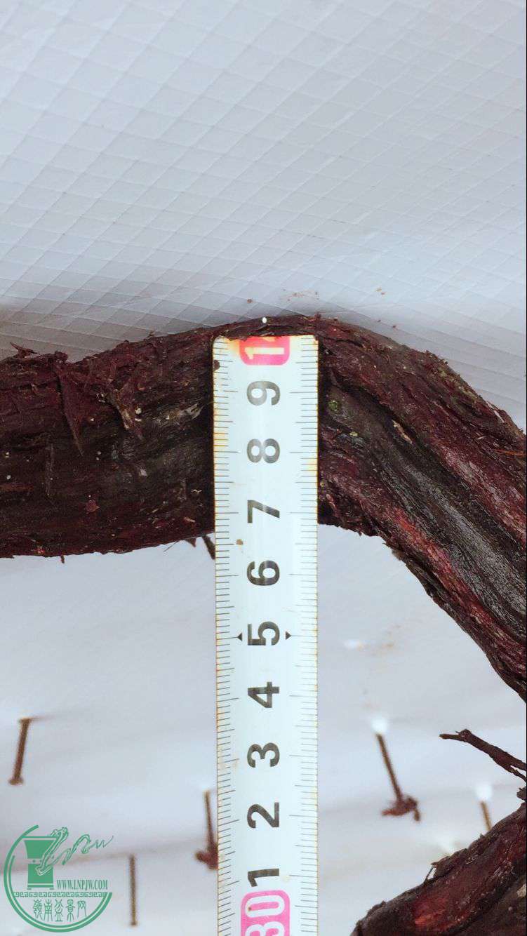 QQͼƬ20170630055642.jpg