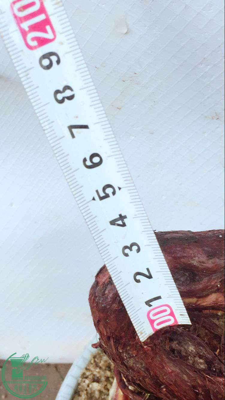 QQͼƬ20170630060325.jpg
