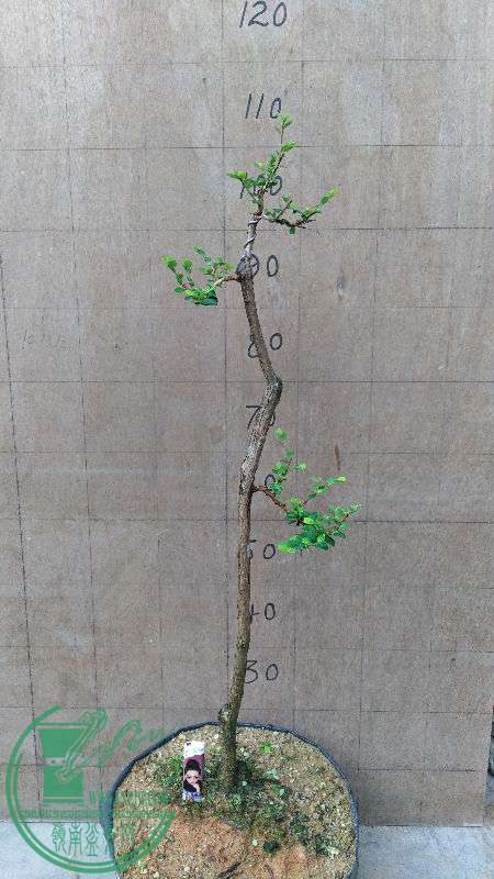 897680