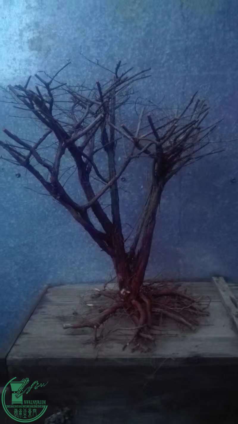 4..jpg