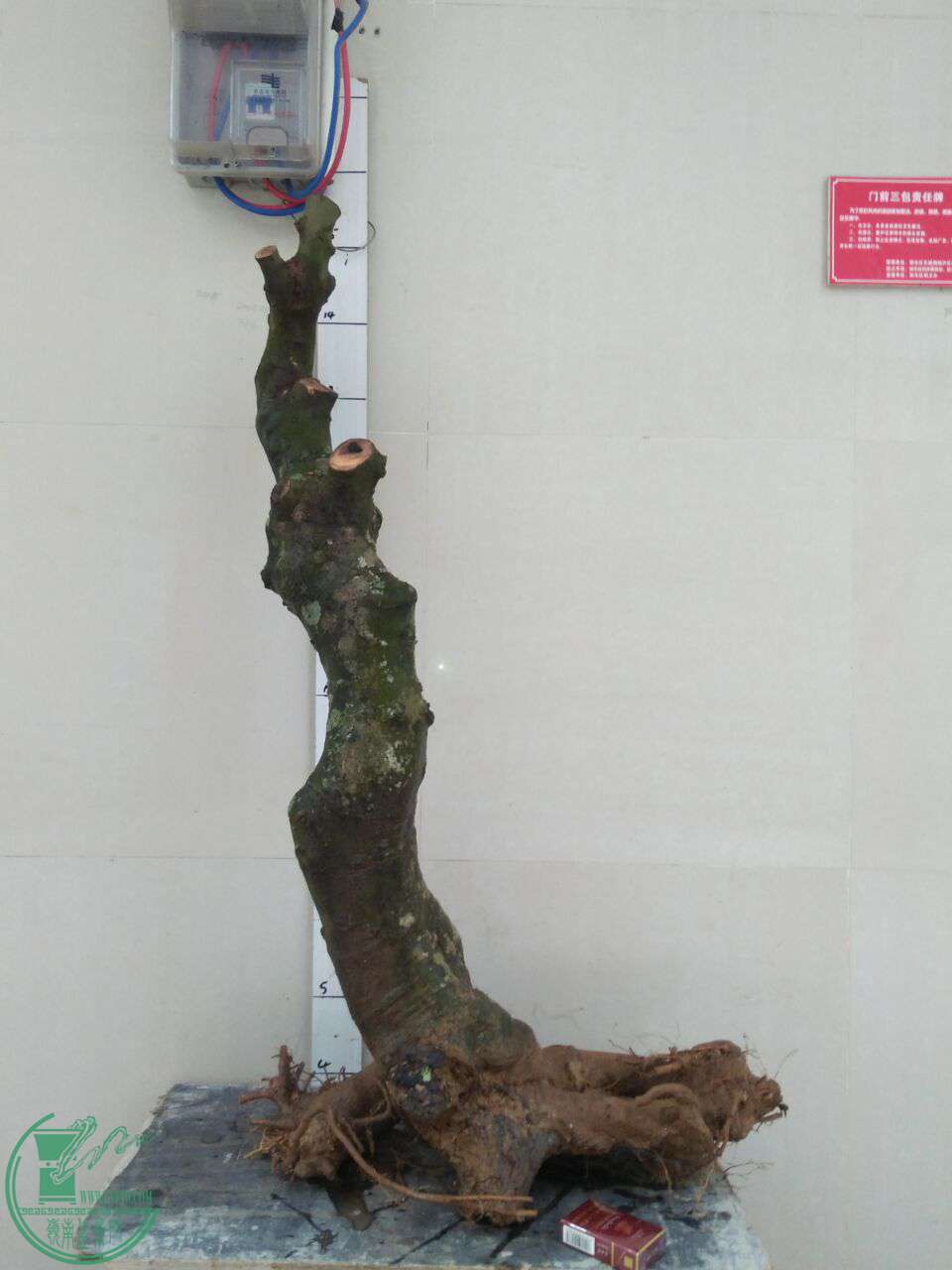 QQͼƬ20170709202635.jpg