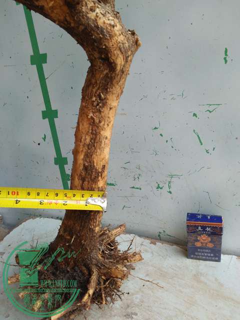 IMG20170710085003.jpg