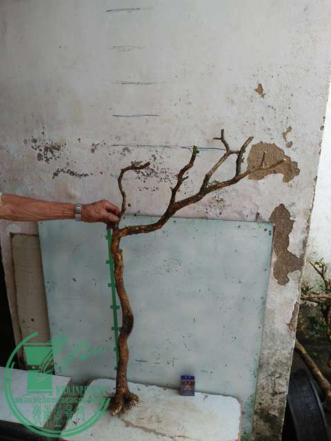 IMG20170710085120.jpg