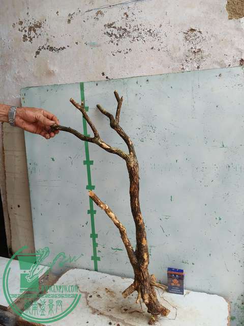 IMG20170710085650.jpg