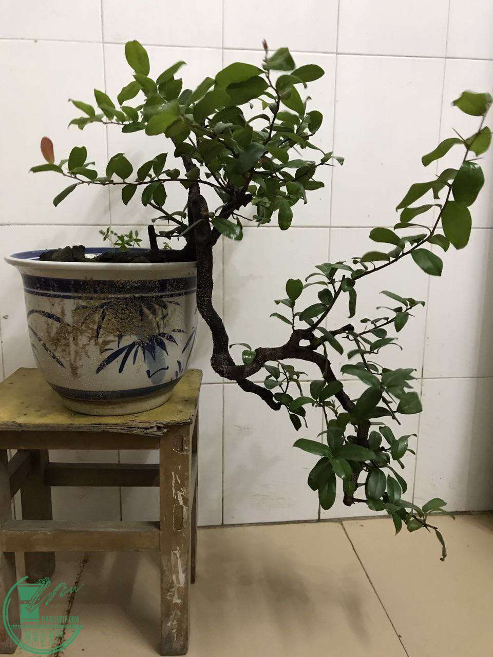 ΢ͼƬ_20170720093521.jpg