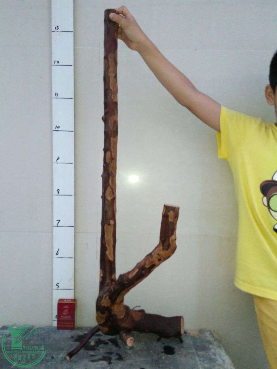 QQͼƬ20170720215259.jpg