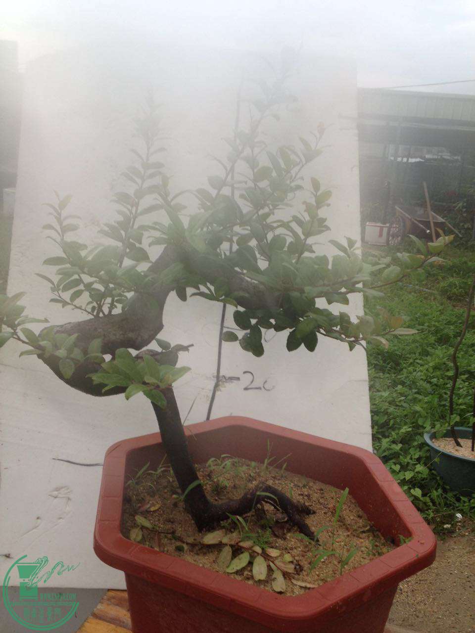 ΢ͼƬ_20170721182849.jpg