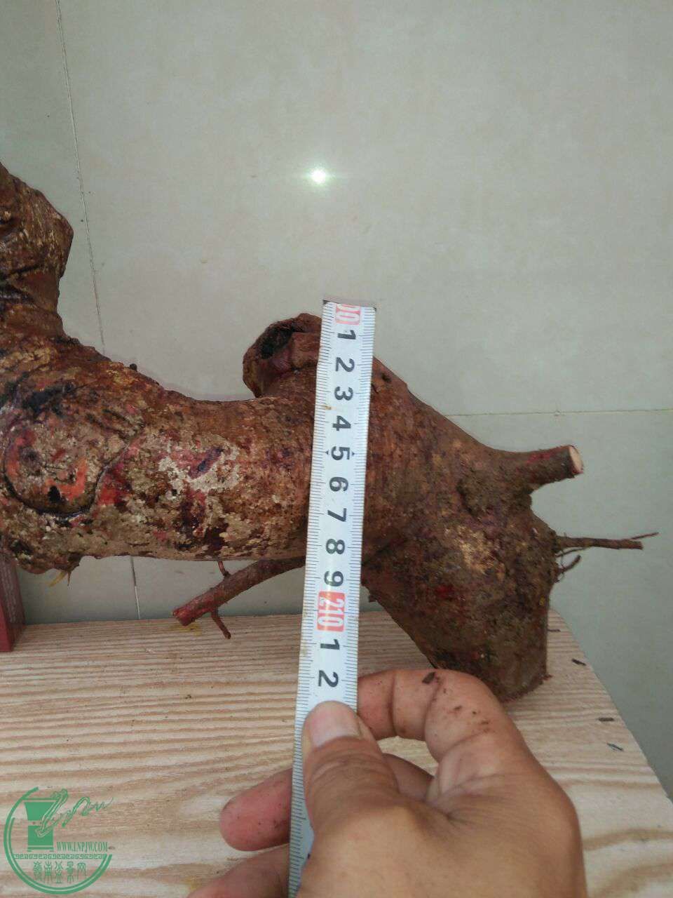 QQͼƬ20170722221834.jpg