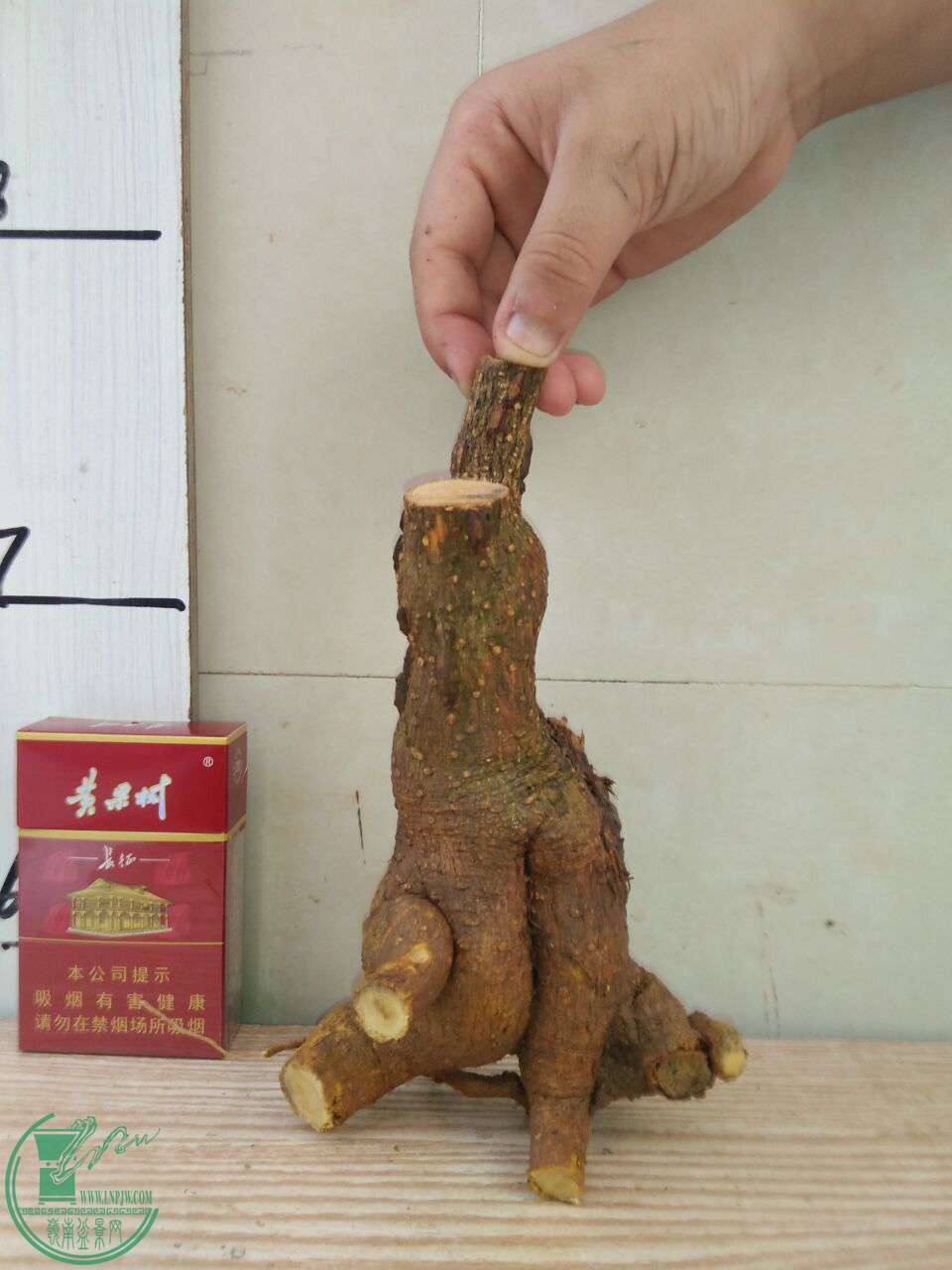 QQͼƬ20170722221808.jpg