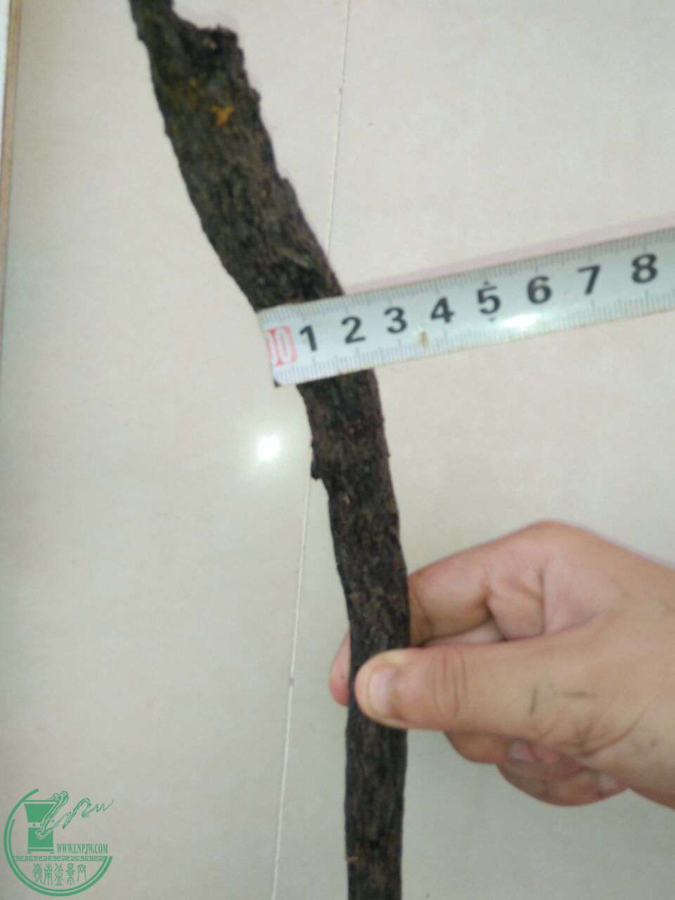 QQͼƬ20170722221740.jpg