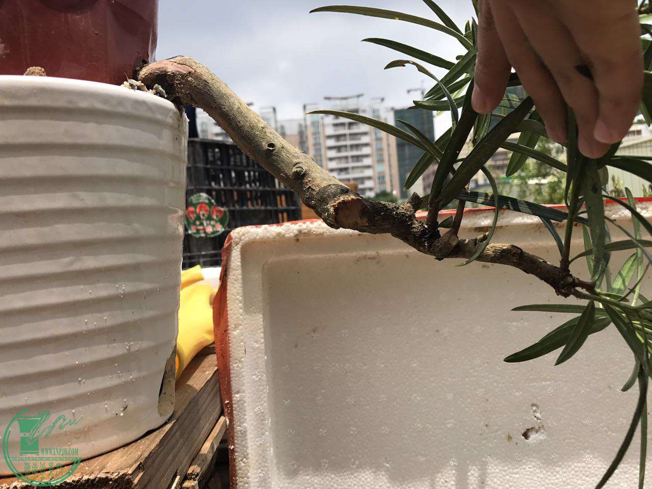 ΢ͼƬ_20170724115423.jpg