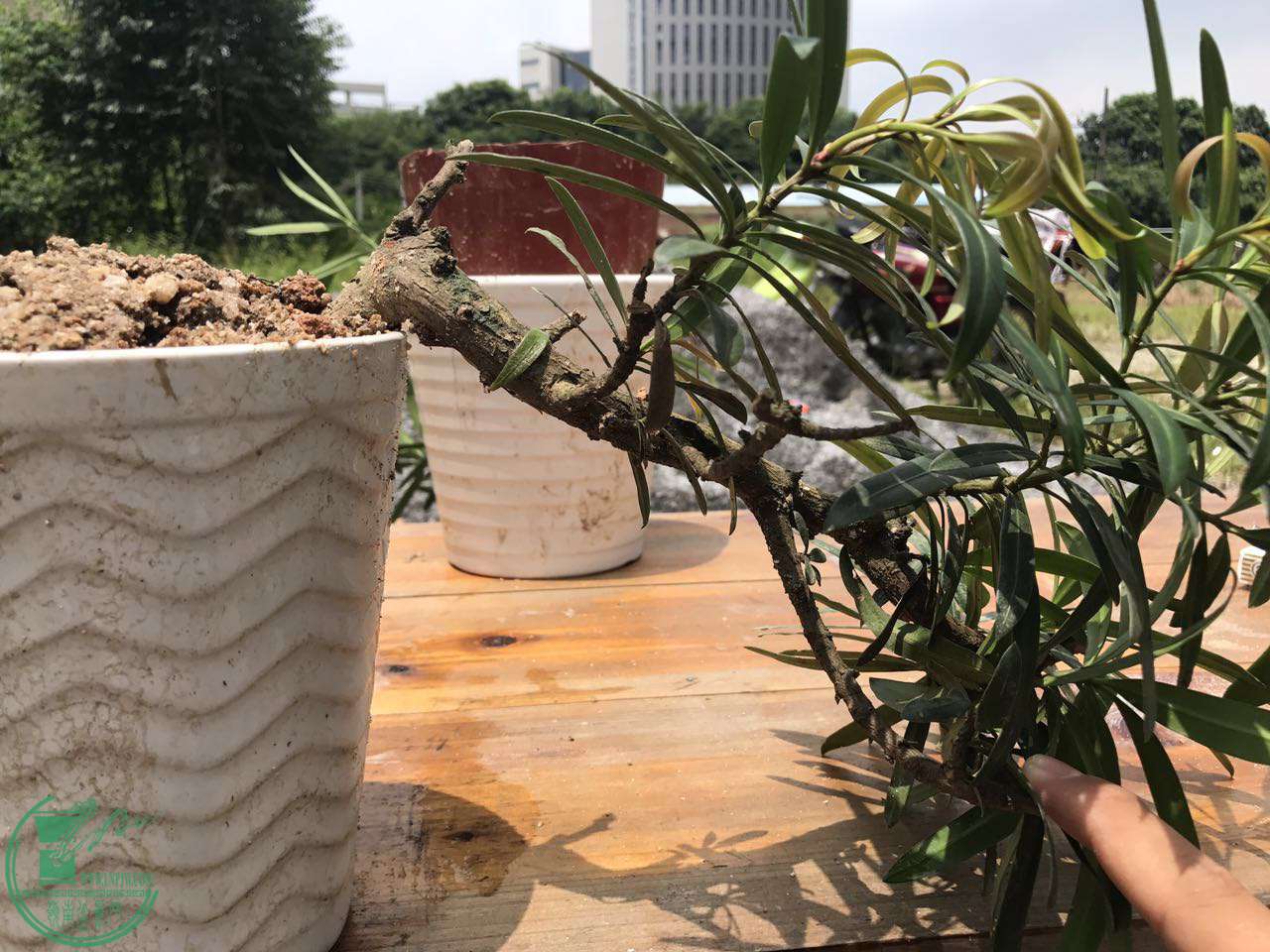 ΢ͼƬ_20170724115438.jpg